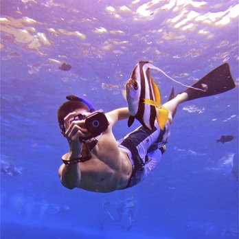 Boss Frogs - Underwater Cameras available for rent or purchase! - Tours Near Me - Lahaina, Hawaii