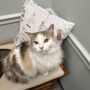 Photo of Countryside Veterinary Clinic