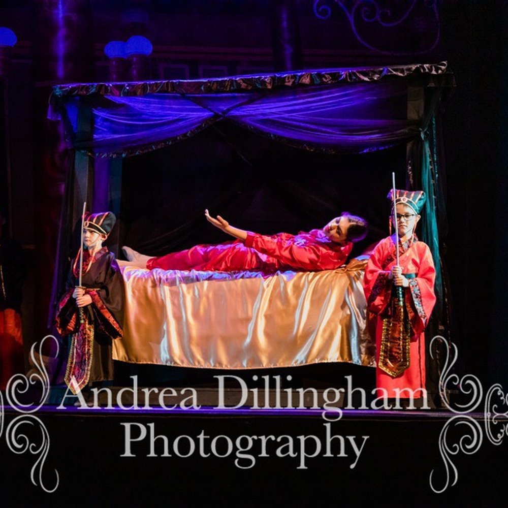 Classical Ballet School - The Nightingale - Dance Schools Near Me - Edmond, Oklahoma