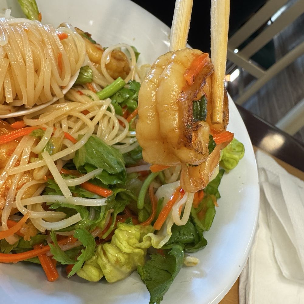 Super Noodle - Shrimp Cold Noodle Salad (#46) - Huge juicy and clean shrimp - Noodles Near Me - Capitola, California