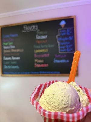 Robin's Nest by null