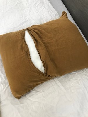 Parachute Home by null