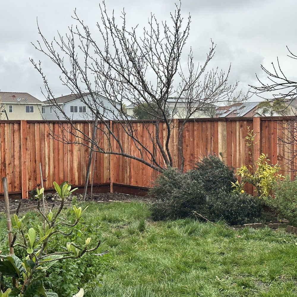 Ergeon - My fence! It's it pretty? - Fences & Gates Near Me Ergeon - My fence! It's it pretty? - Fences & Gates Near Me