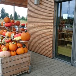 Obsthof Hertle - Huge selection of pumpkins
