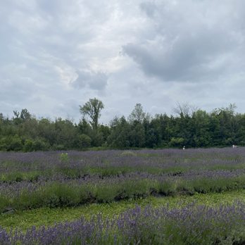 Terre Bleu - Farms Near Me - Elora, Ontario Terre Bleu - Farms Near Me - Elora, Ontario