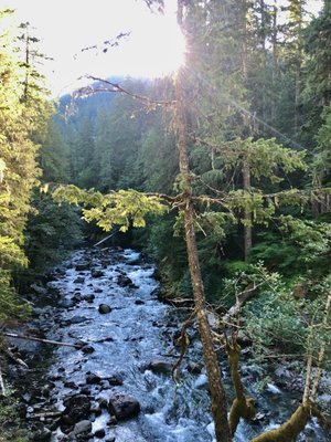 Ohanapecosh Campground by null