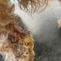 Photo of Miami's Pet Grooming