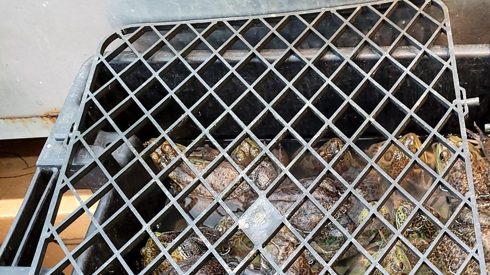 NEW YORK MART Updated October 2024 131 Photos & 65 Reviews 15108