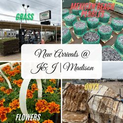 Madison Gardens Nursery - Spring Has Sprung! 

New arrivals weekly in our greenhouse! From roses and fruit trees to herbs, veggies, and flowers (including marigo