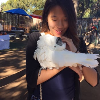 Free Flight - I miss him ): He was so cute and cuddly!!! - Animal Shelters Near Me - Del Mar, California Free Flight - I miss him ): He was so cute and cuddly!!! - Animal Shelters Near Me - Del Mar, California