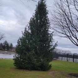 Roosevelt Park Family Ice Skating Rink