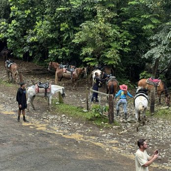 Carabali Rainforest Park - Horseback Riding Near Me - Luquillo, Puerto Rico Carabali Rainforest Park - Horseback Riding Near Me - Luquillo, Puerto Rico