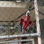 Photo of Uncle Sandy's Macaw Bird Park