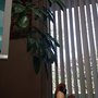 Mar & Yee Dental