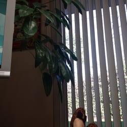 Mar & Yee Dental - Waiting while the medicine is kicking in...