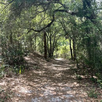 Little Talbot Island State Park - Trail - Beaches Near Me - Jacksonville, Florida Little Talbot Island State Park - Trail - Beaches Near Me - Jacksonville, Florida