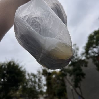Dunia's Pastery's - All of the water that leaked out of 2 wrapped Tamales. - Bakeries Near Me - Los Angeles, California Dunia's Pastery's - All of the water that leaked out of 2 wrapped Tamales. - Bakeries Near Me - Los Angeles, California