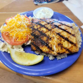 Coconut's Fish Cafe - Kamaole - Blacken Mahi Mahi. Delicious - Seafood Near Me - Kihei, Hawaii