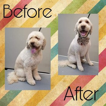 Ruff Cuts - Pet Groomers Near Me - Fond du Lac, Wisconsin Ruff Cuts - Pet Groomers Near Me - Fond du Lac, Wisconsin