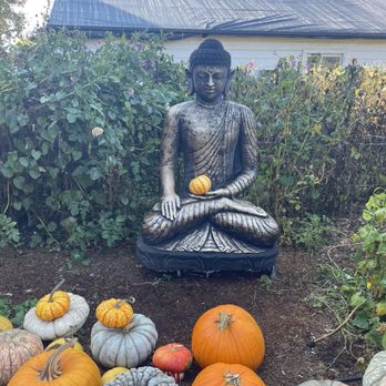 Post Street Farm - Pumpkin Patches Near Me - Santa Cruz, California