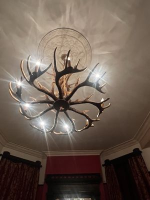 The Franklin Castle (Hannes Tiedemann House) by null