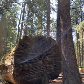 Calaveras Big Trees State Park - Parks Near Me - Arnold, California Calaveras Big Trees State Park - Parks Near Me - Arnold, California