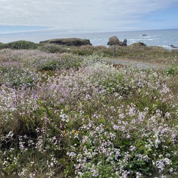 Glass Beach - Beaches Near Me