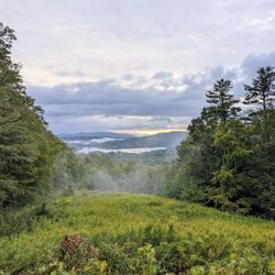 Olivia's Overlook - Instagram: telephonesmoothie