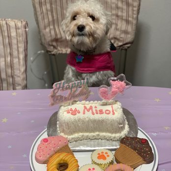 Redondo Dog - Small cake and a variety of treats (small donut, peanut butter cup and flat cupcake). - Pet Services Near Me - Carson, California Redondo Dog - Small cake and a variety of treats (small donut, peanut butter cup and flat cupcake). - Pet Services Near Me - Carson, California