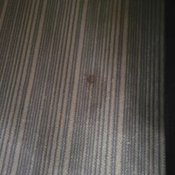 Country Inn & Suites by Radisson, Beaufort West, SC - Stains on carpet