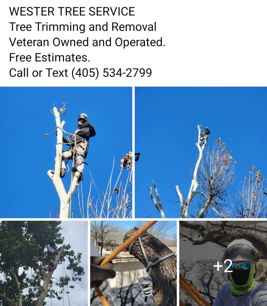 Wester Tree Service - tree service in Midwest City, OK