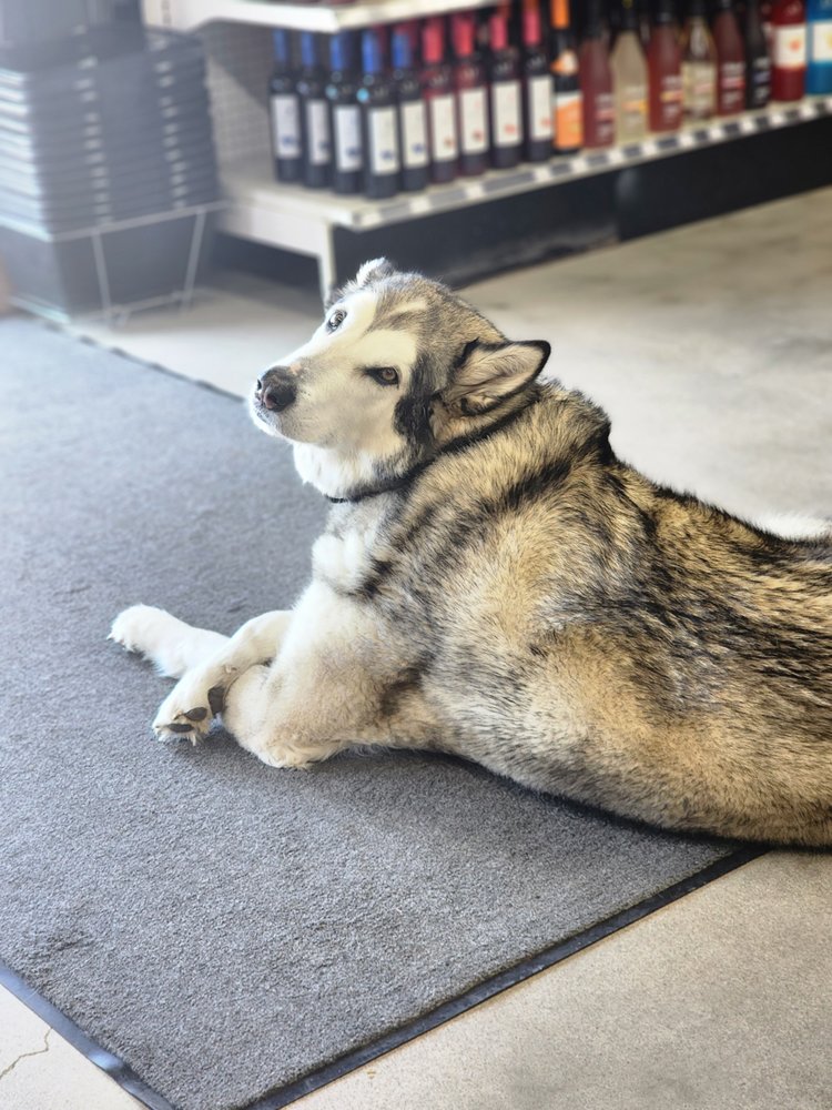 WHISKEY WOLF LIQUOR Updated September 2024 411 S Locust St