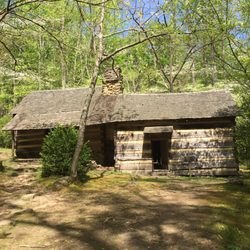 Porters Creek Trail - 1930's Cabin