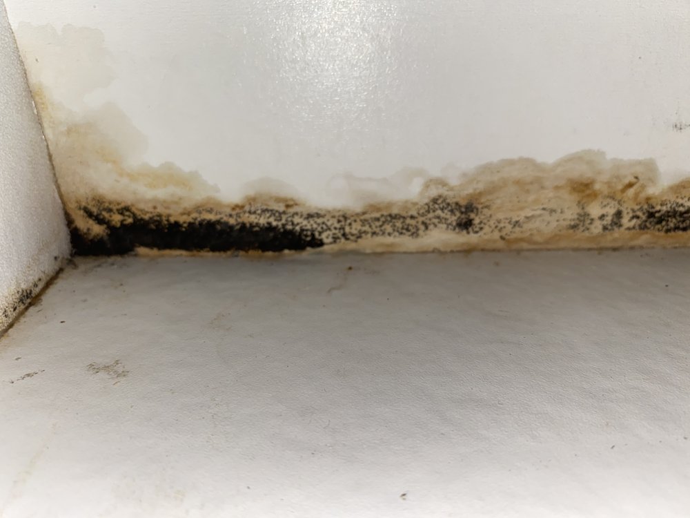 Slide of Mr. Rooter Plumbing of Wilmington and Brunswick County