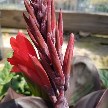 Coward Farms - Nurseries & Gardening Near Me - Southwick, Massachusetts