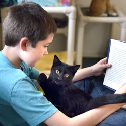 Tennessee Humane Animal League Pet Placement Center