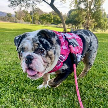 Rohr Park - Rohr Park - Parks Near Me - Bonita, California Rohr Park - Rohr Park - Parks Near Me - Bonita, California