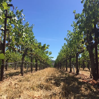 Round Pond Estate Winery - Wineries Near Me - Rutherford, California Round Pond Estate Winery - Wineries Near Me - Rutherford, California