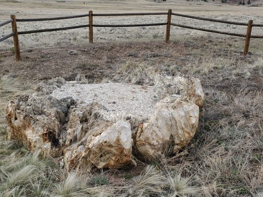 Florissant Fossil Beds National Monument by null