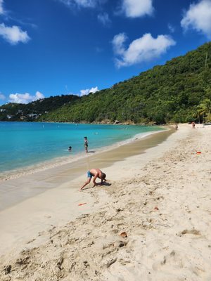 Magens Bay Beach by null