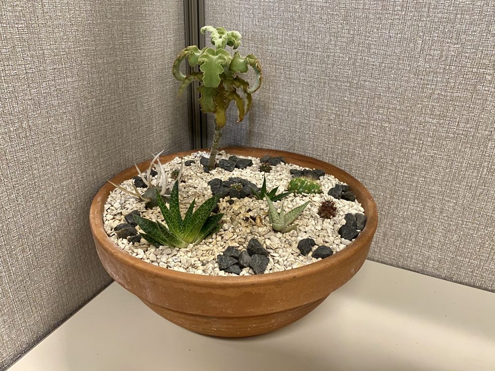 Old School Produce Logo