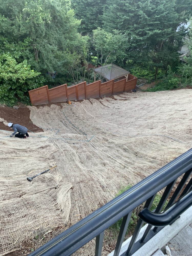 Green Belt Tree Care - tree service in Seattle, WA