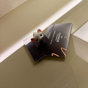 Bloomington-Normal Marriott Hotel & Conference Center - Cozy - Hotels Near Me - Normal, Illinois
