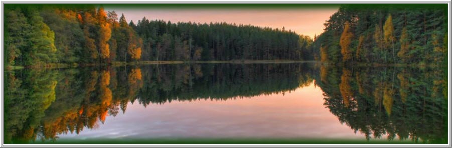 Fiat Lux Counseling - grief counselor in Mechanicsburg, PA