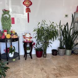 Ocean Relax Center - Entrance