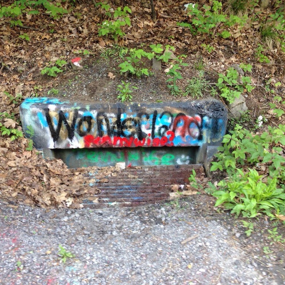 Centralia - Local Flavor Near Me Centralia - Local Flavor Near Me