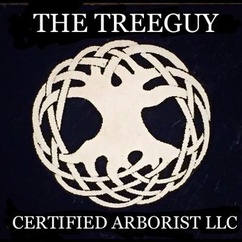 The Tree Guy Arborist - Logo - Tree Services Near Me The Tree Guy Arborist - Logo - Tree Services Near Me