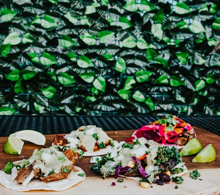 McDevitt Taco Supply by null