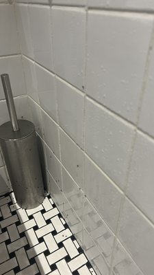 Hotel Rose Bourbon by null