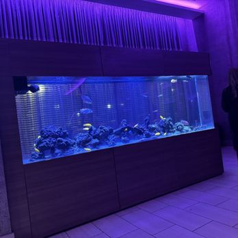 SoBe Restaurant and Lounge - Fish Tank - American Near Me - Lanham, Maryland